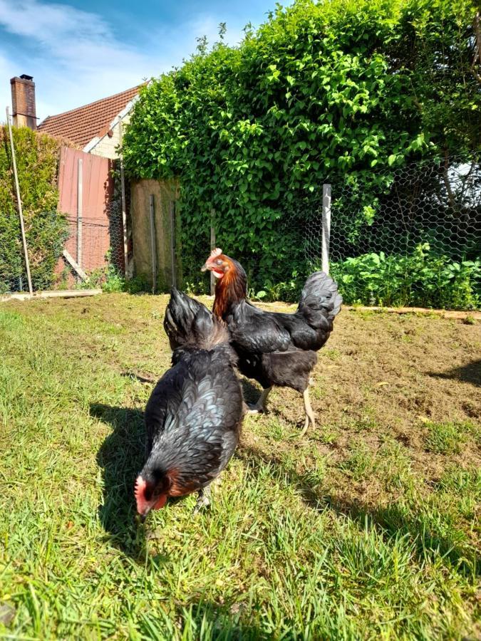 Avol D'Oiseau Bed & Breakfast Villers-Farlay Bagian luar foto